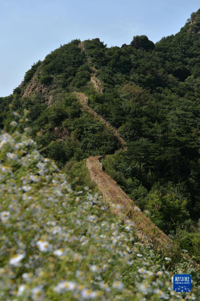 银河盘口场